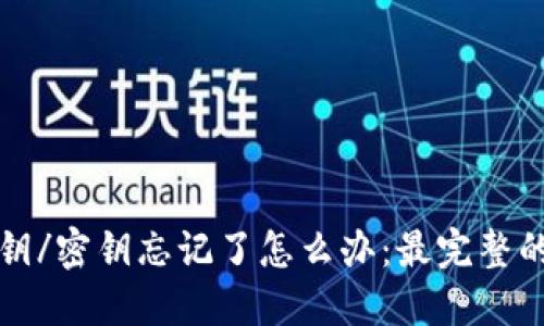 TP钱包私钥/密钥忘记了怎么办：最完整的解决方案