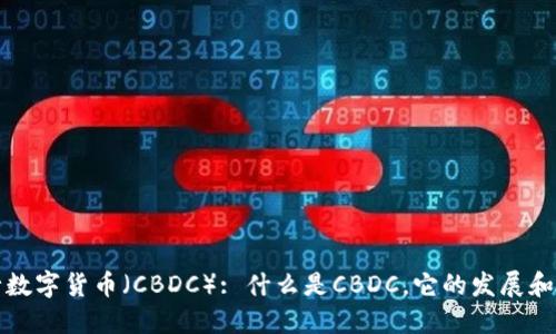 央行数字货币(CBDC): 什么是CBDC,它的发展和未来