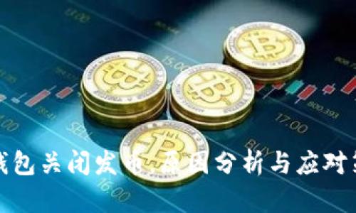 TP钱包关闭发币，原因分析与应对策略