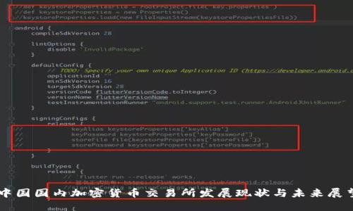 中国国内加密货币交易所发展现状与未来展望