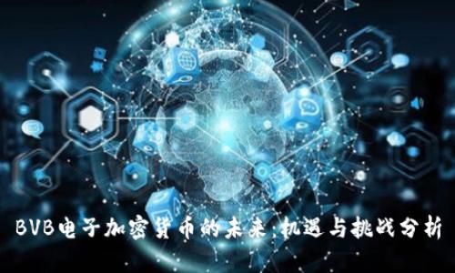 BVB电子加密货币的未来：机遇与挑战分析