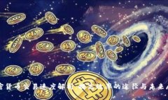 加密货币交易速度解析：提高效率的途径与未来