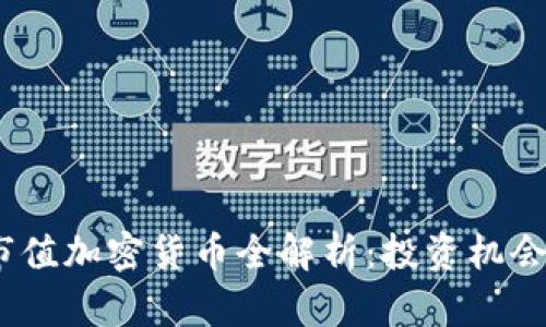 2023年高市值加密货币全解析：投资机会与市场趋势
