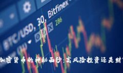 揭开偏门加密货币的神秘面纱：高风险投资还是